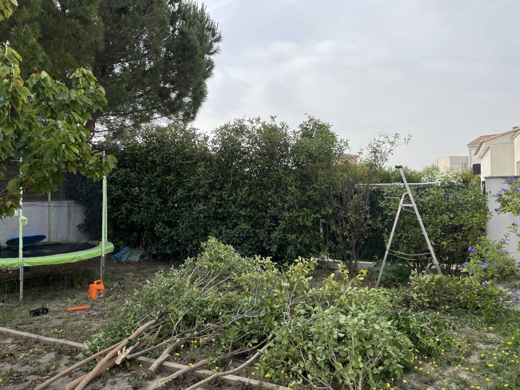 Tailles des Haies & Arbres à Nimes et Région de Bouillargues