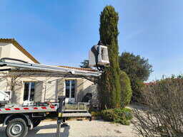 Arbre avant intervention d’élagage à Garons dans le Gard