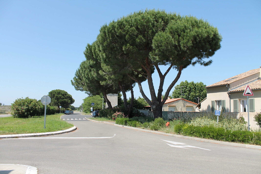 Entretien d’espaces verts et élagage à Garons