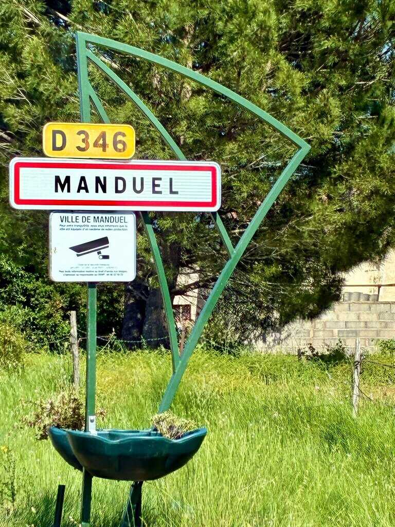 Élagage à Manduel dans le Gard