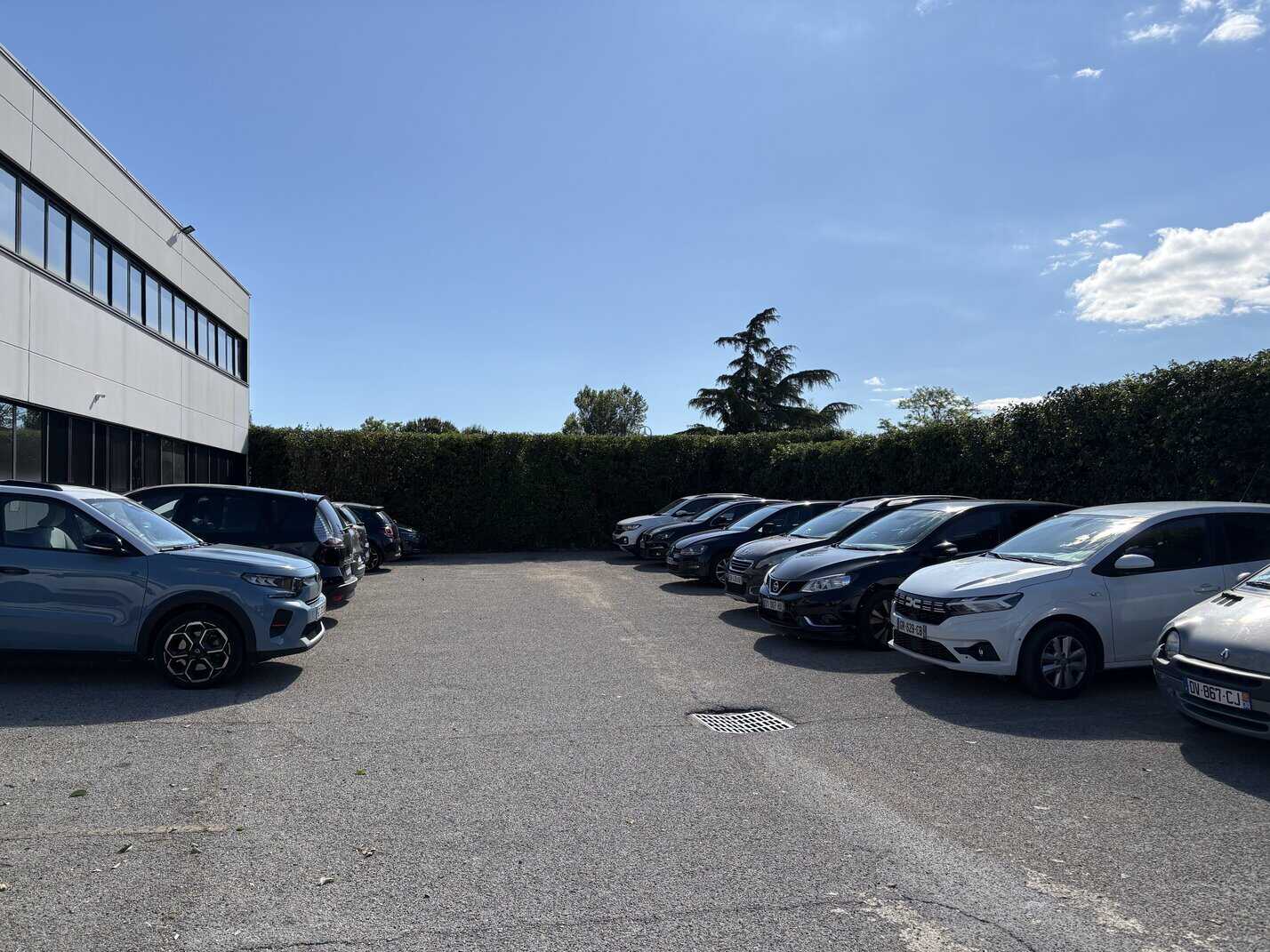 Après travaux d'élagage à Vergèze