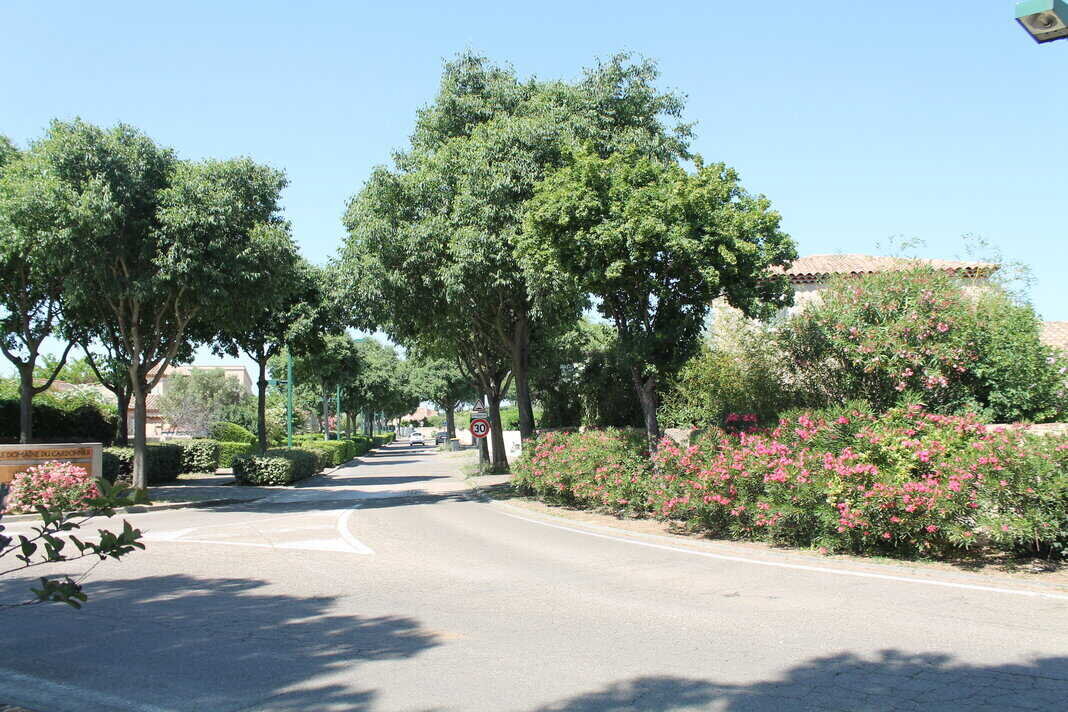 Valorisation d’un jardin après élagage à Manduel